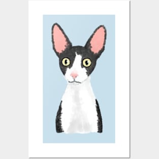 Cornish Rex (Large Design) Posters and Art